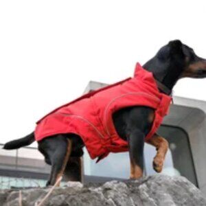 Dog Fleece made by ASENKU